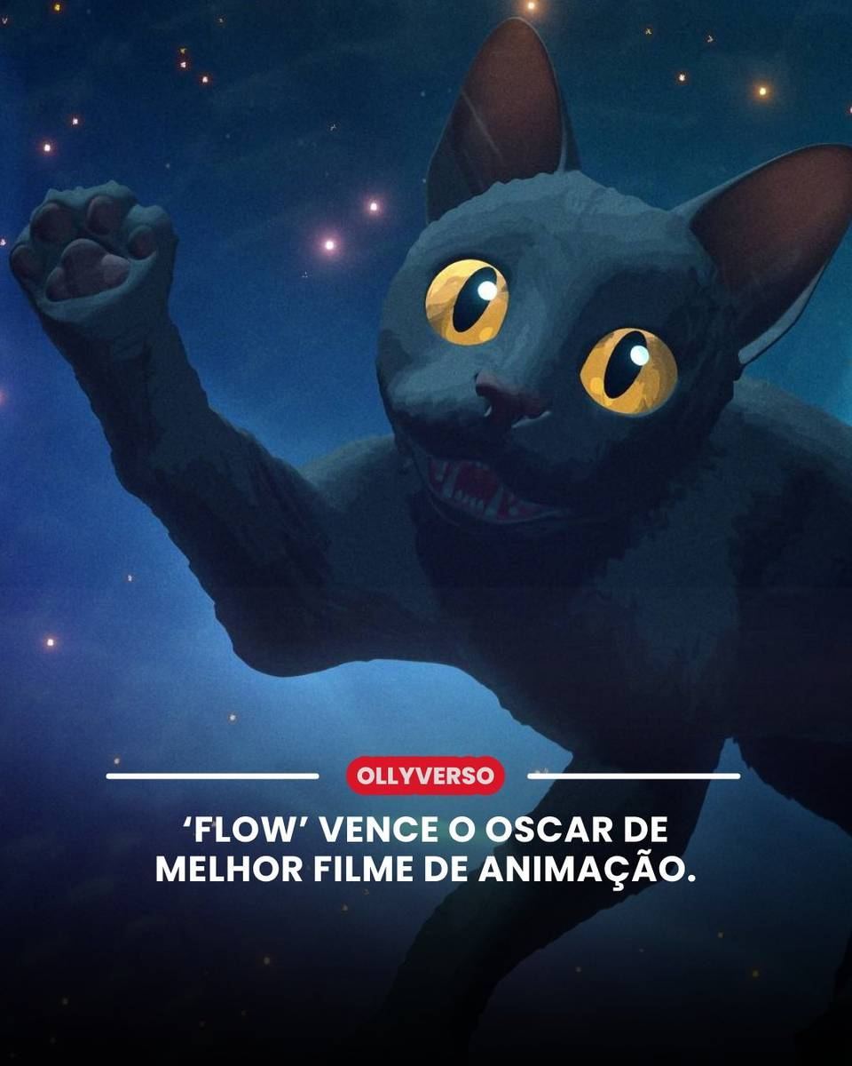 Flow — Melhor Animação