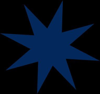 Estrela navy
